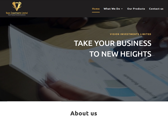 Vision Investments Limited project work