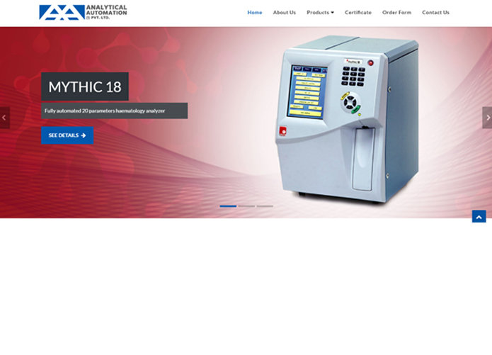 Analytical Automation(I) PVT.LTD. project work